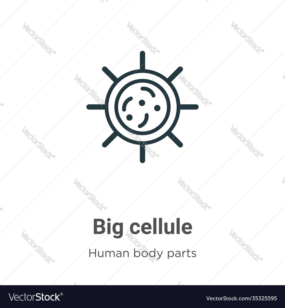 Big cellule outline icon thin line black