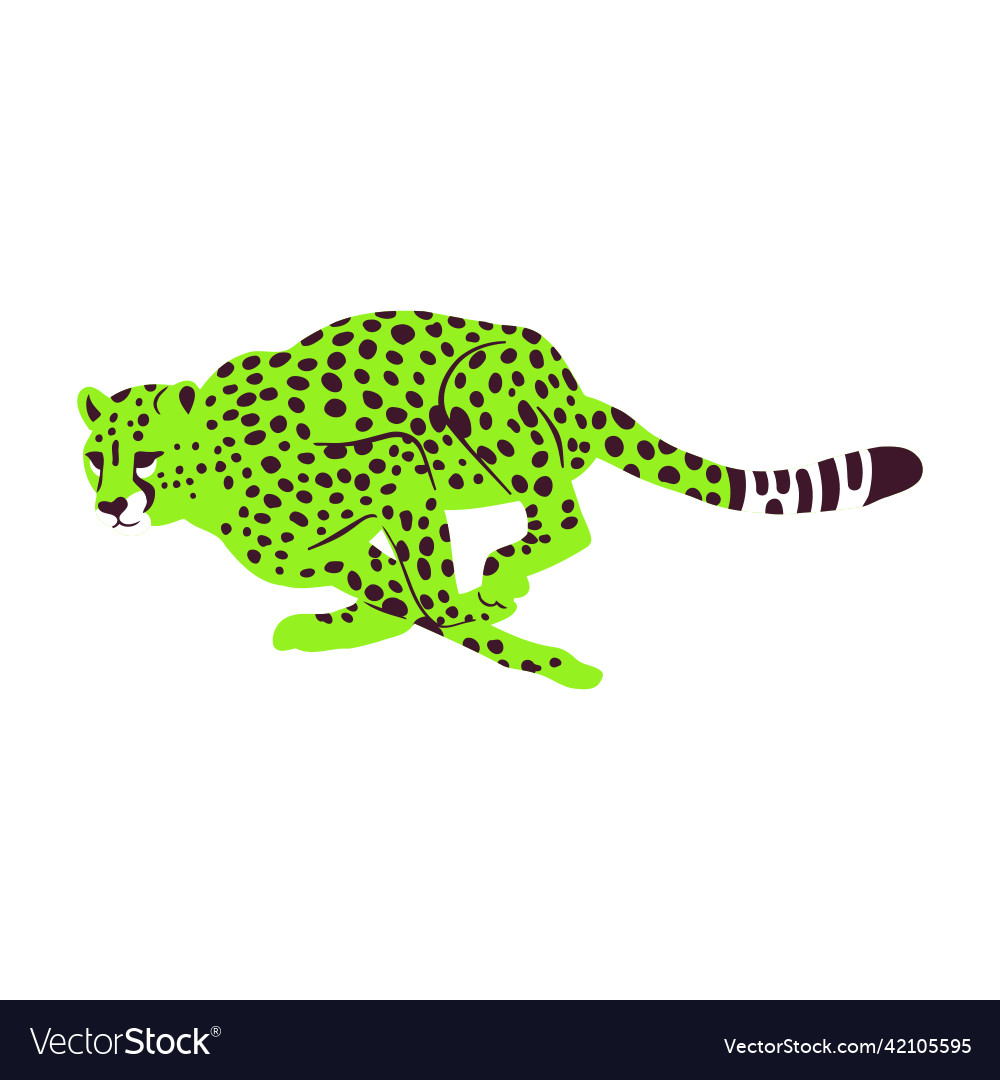 Wild cheetah big cat animal portrait graphic