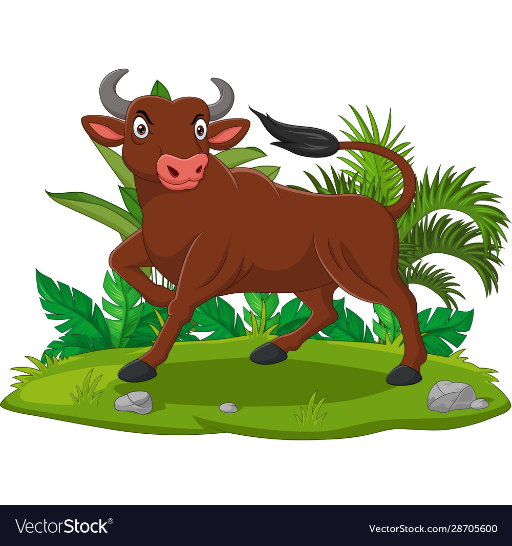 Angry Bull in Grass