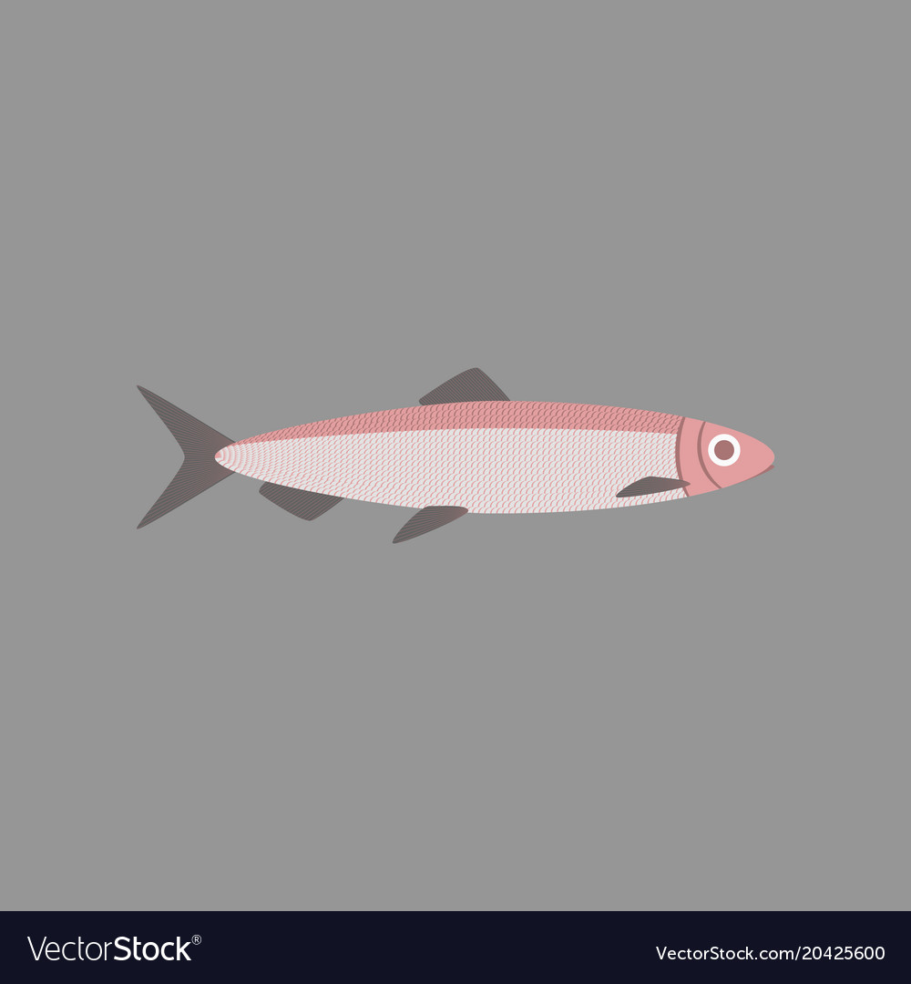 In flat style herring Royalty Free Vector Image
