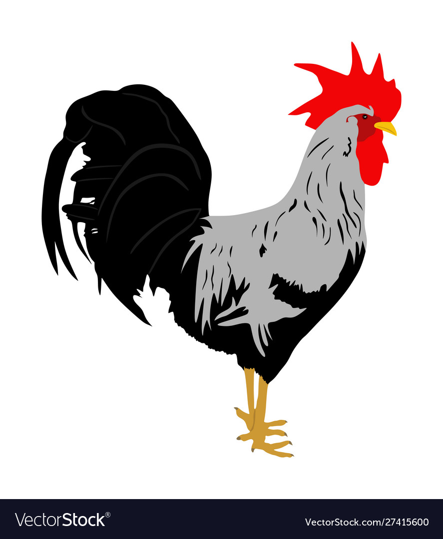 Rooster Huhn Bio-Lebensmittel Symbol Hahn vector image Rooster Huhn Bio-Lebensmittel Symbol Hahn
