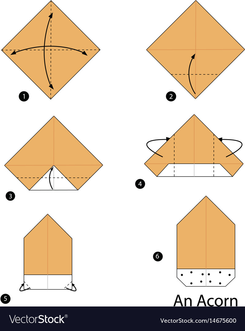 Step by instructions how to make origami Vector Image