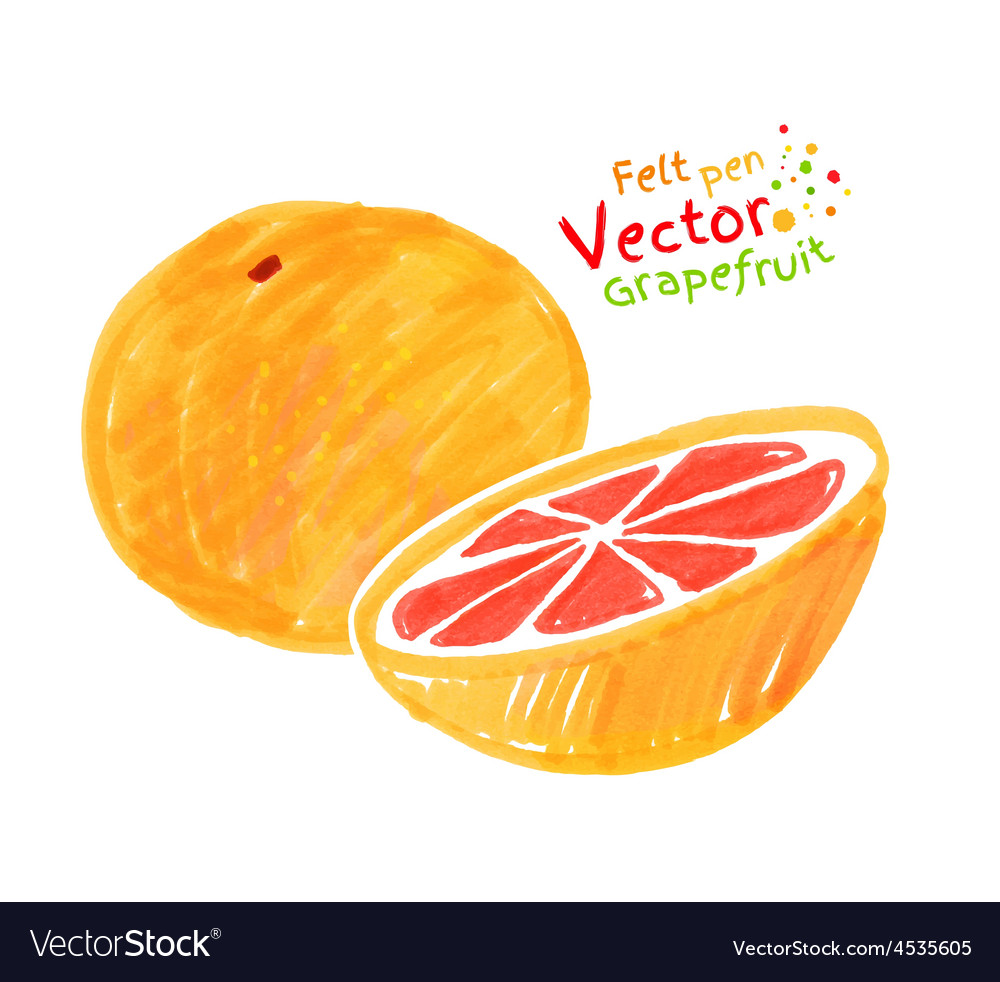 Child drawing of grapefruit