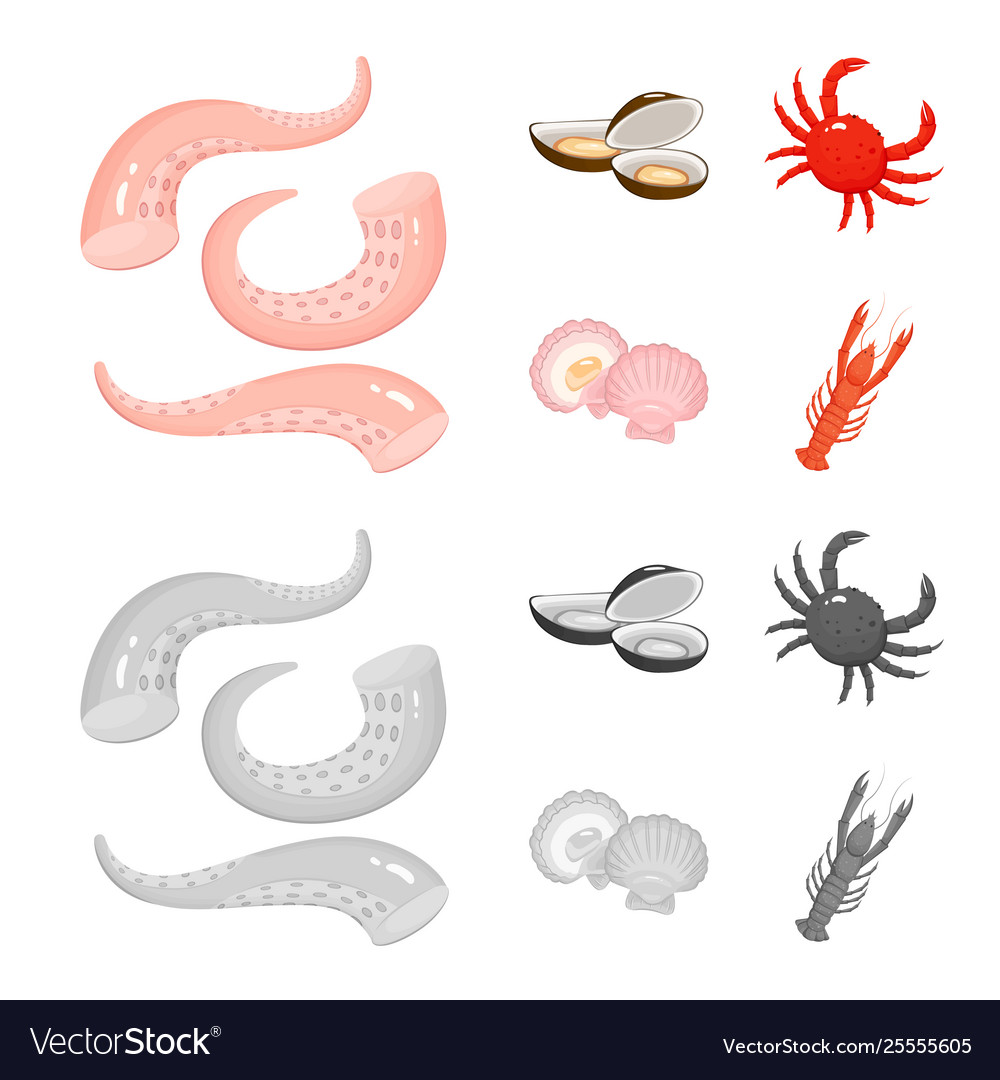 Isolated object fresh and restaurant logo vector image Isolated object fresh and restaurant logo