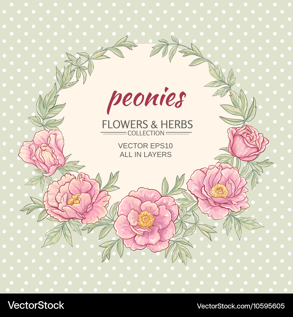 Peonies frame Royalty Free Vector Image - VectorStock