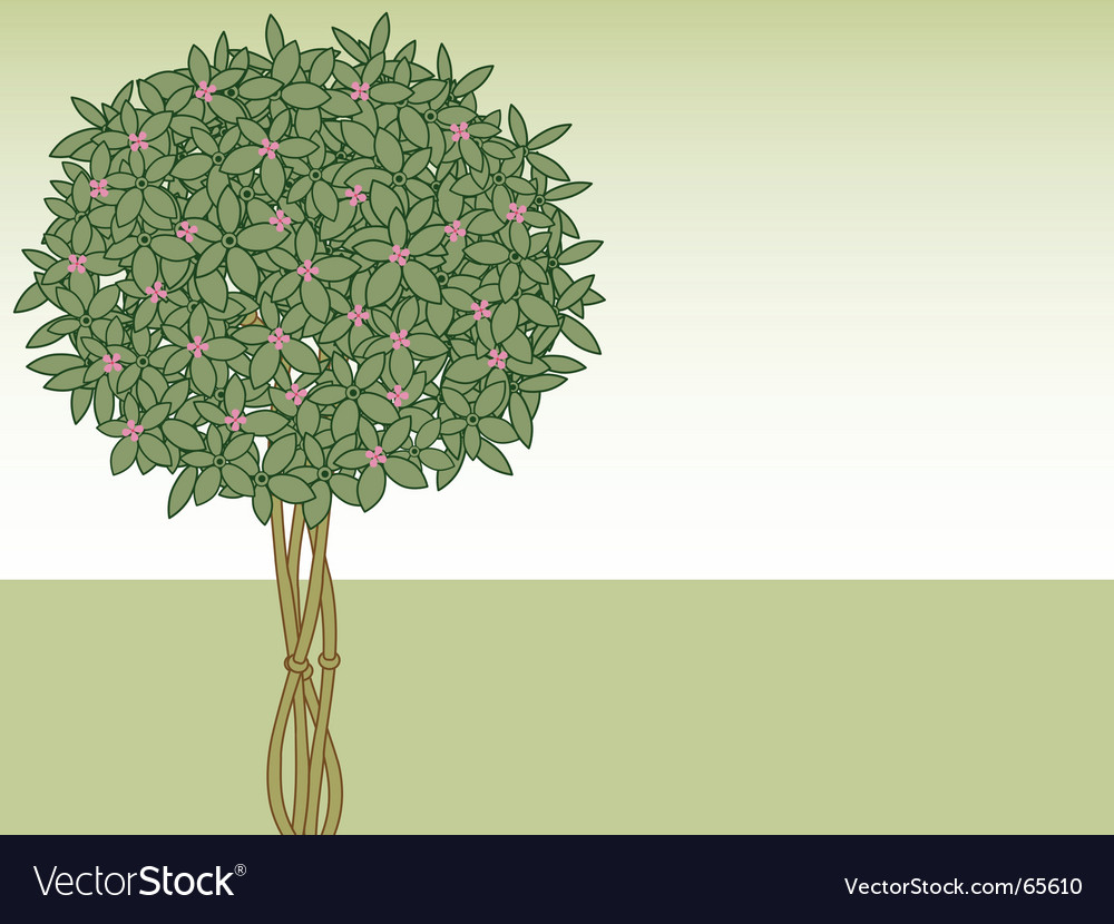 Green Branch Pattern