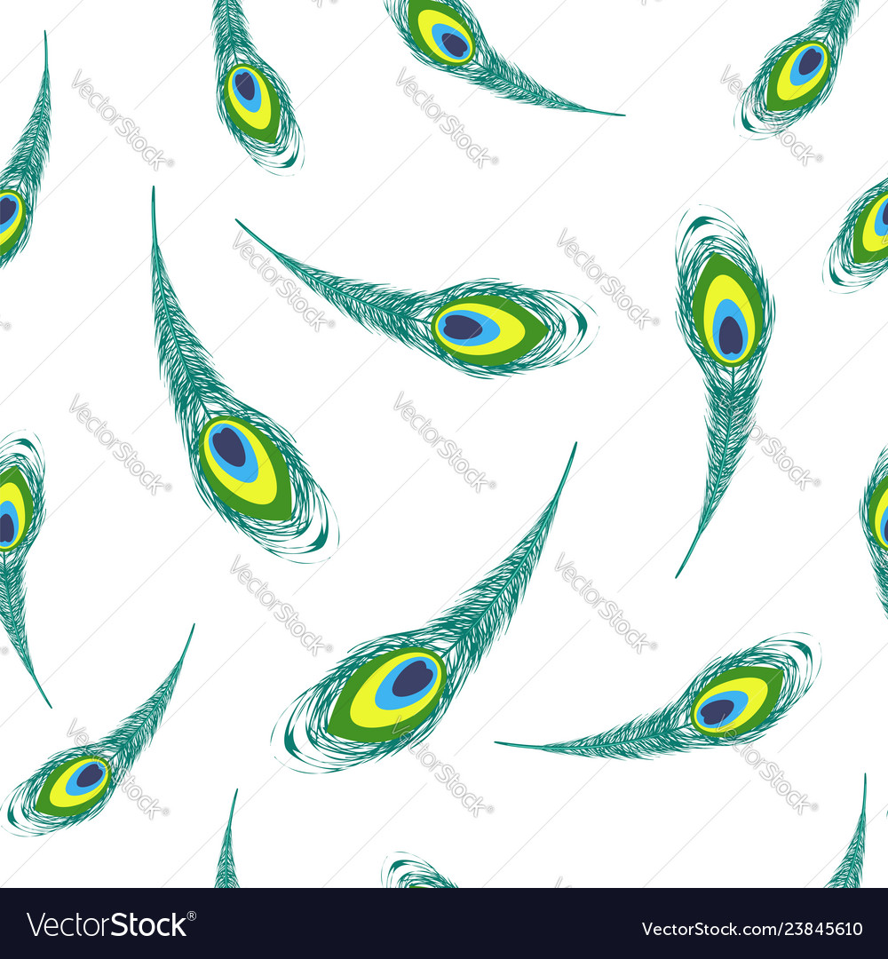 Set of colorful peacock feathers Royalty Free Vector Image