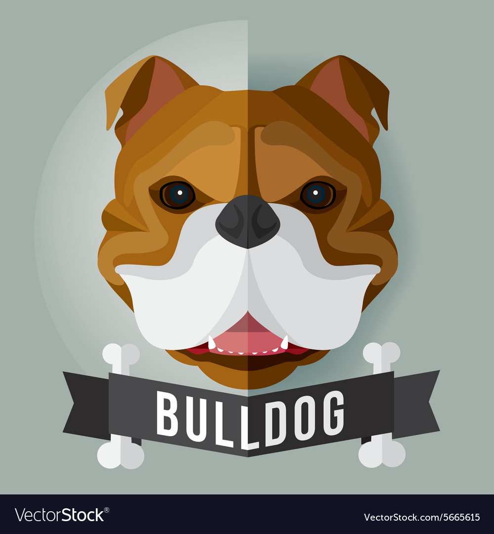 Bulldog