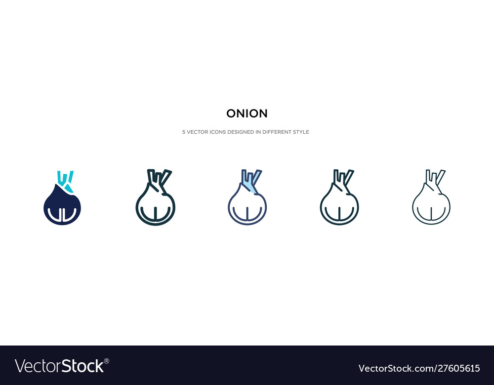 Onion icon in different style two colored vector image Onion icon in different style two colored