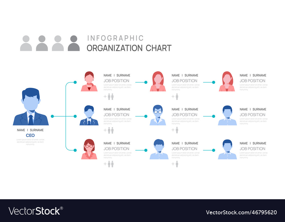 Infographic template for organization chart with Vector Image