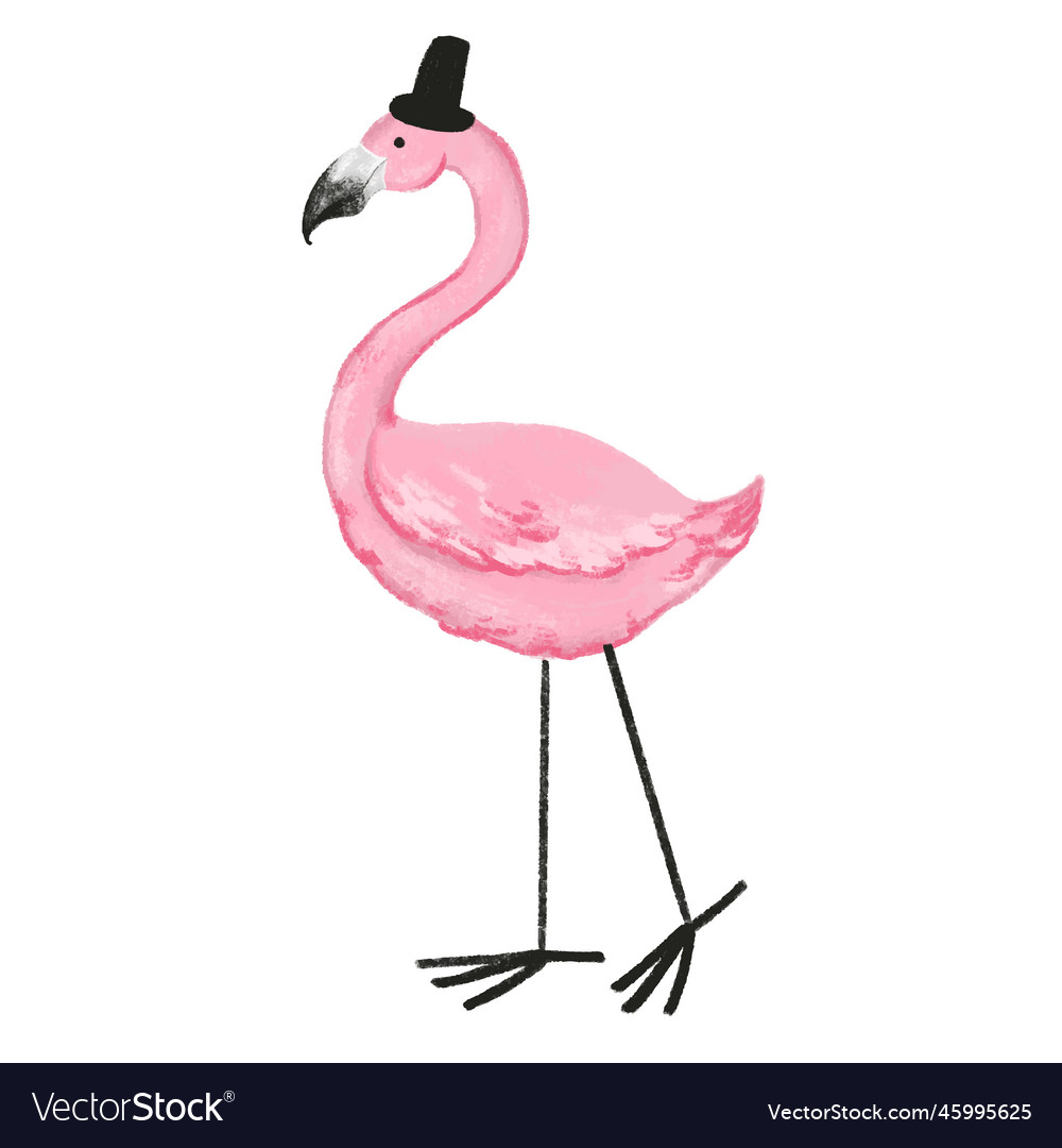 Flamingo on white isolated background