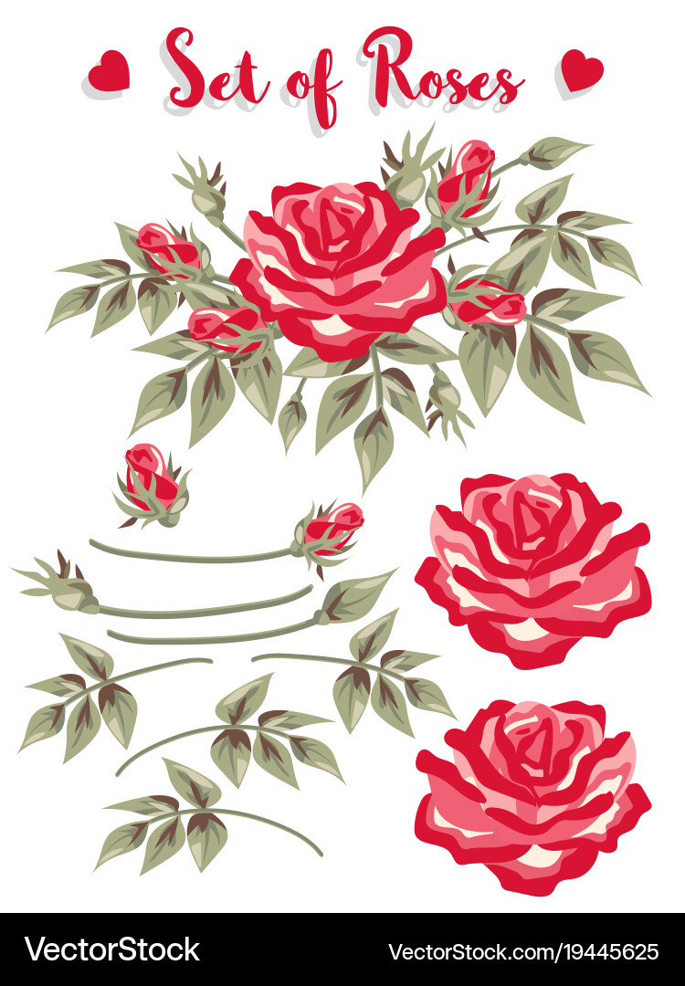 Flower set Royalty Free Vector Image - VectorStock