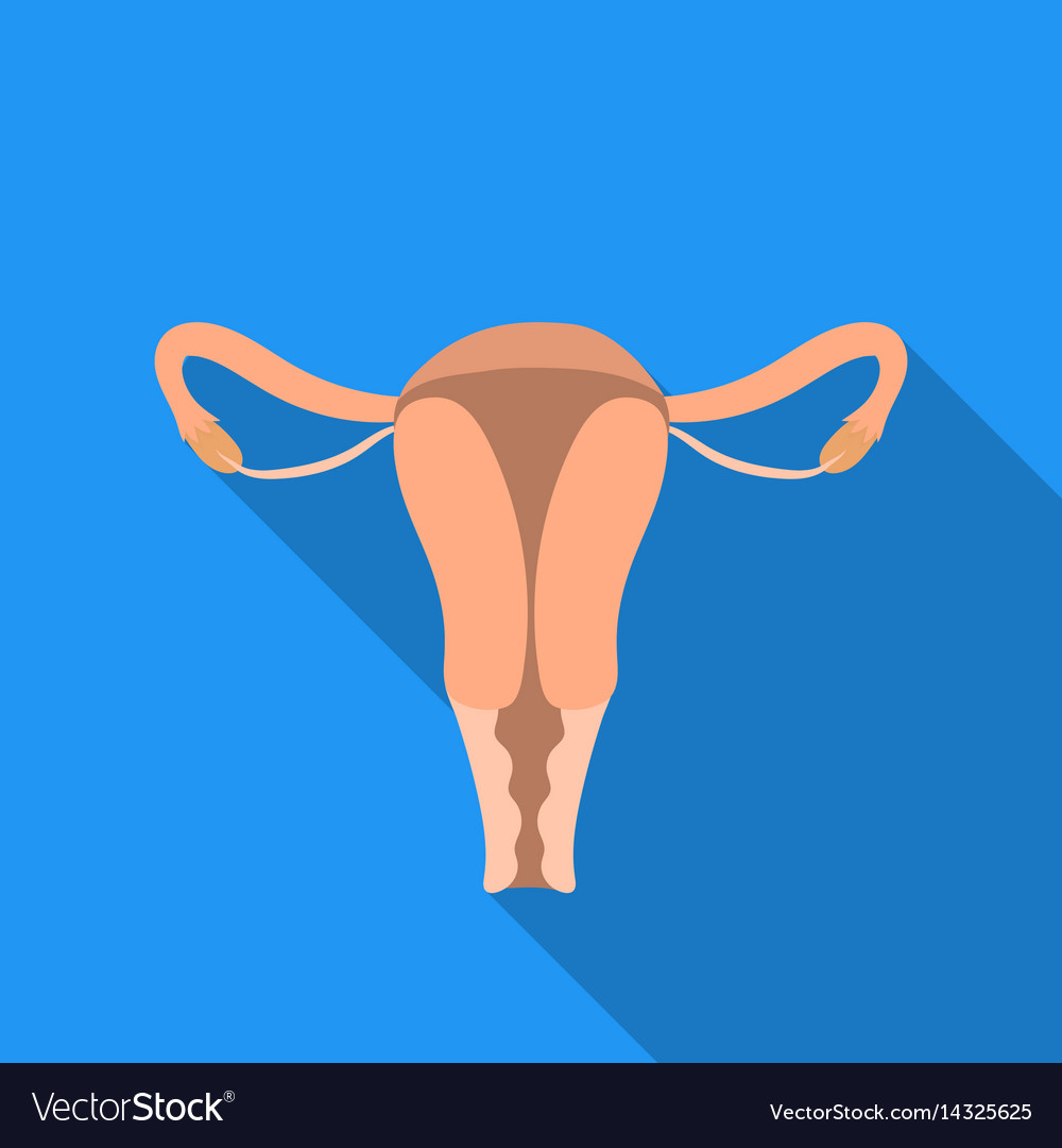 Uterus icon in flat style isolated on white Vector Image