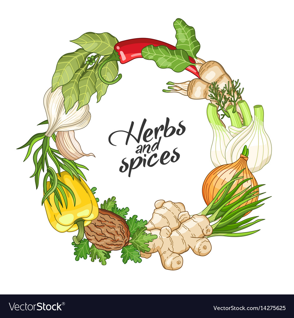 vegetable circle template with spices royalty free vector