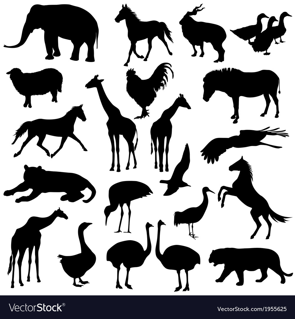 Zoo Animal Silhouettes Collection