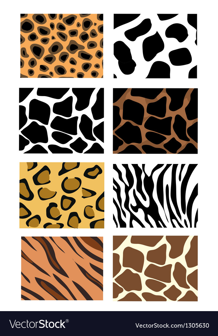 Zebra Print Sets