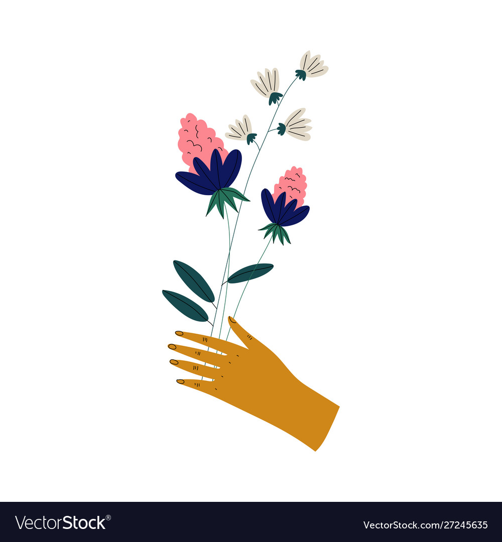 Weibliche Hand halten Bündel schöne blooming vector image Weibliche Hand halten Bündel schöne blooming