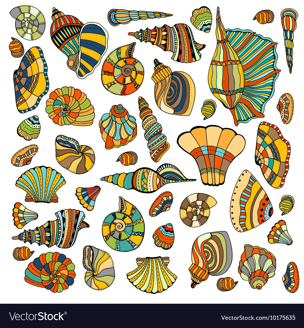 Seashell set collection