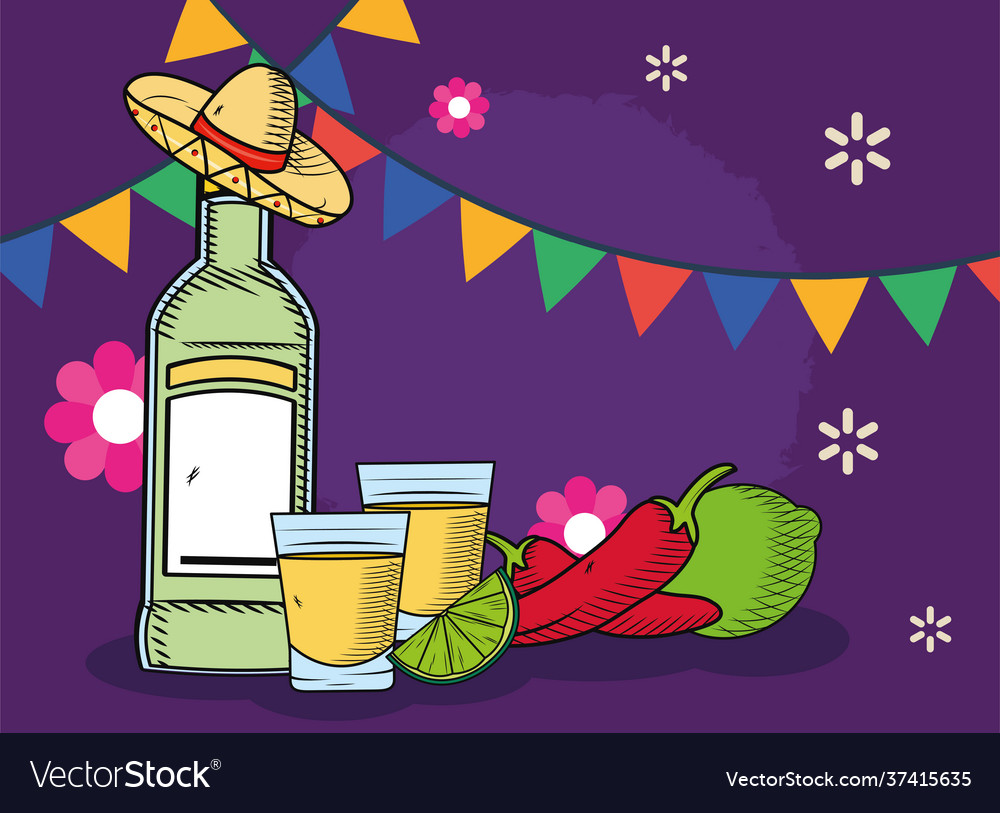 Tequila bottle cups Royalty Free Vector Image - VectorStock