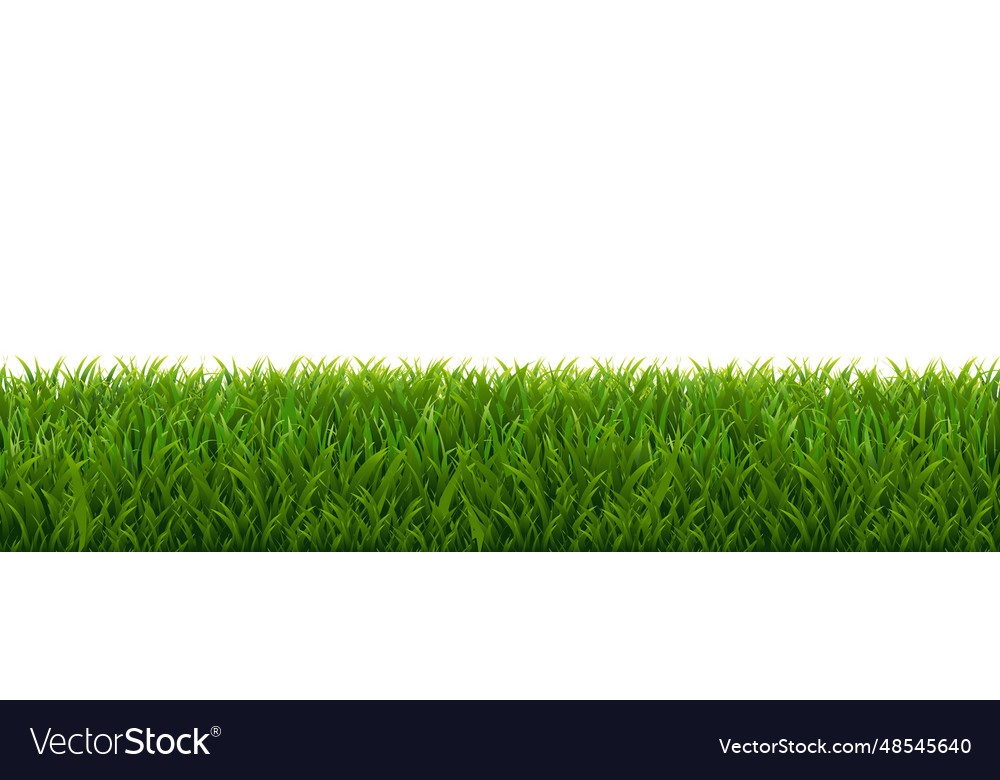 Green grass border with white background Vector Image