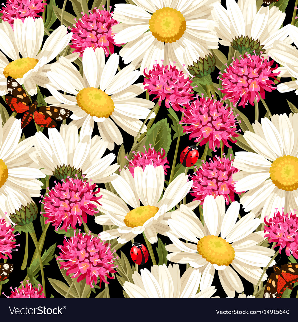 Meadow flowers seamless pattern Royalty Free Vector Image