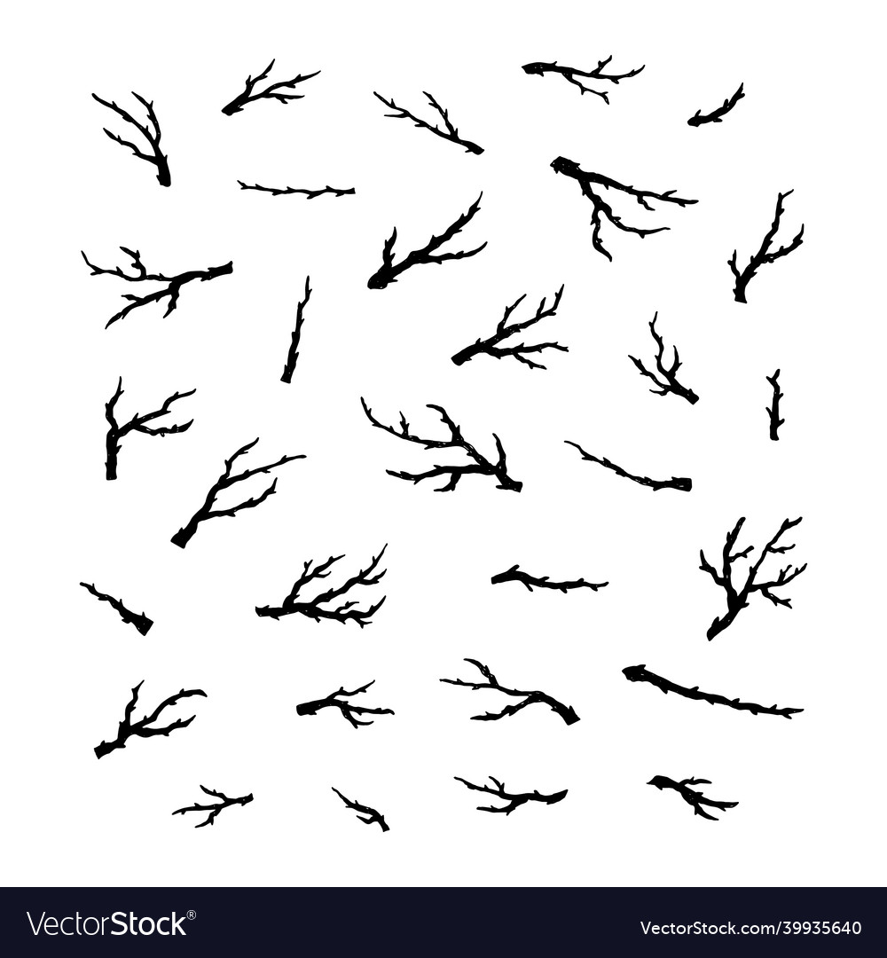 Set of tree branches and twigs