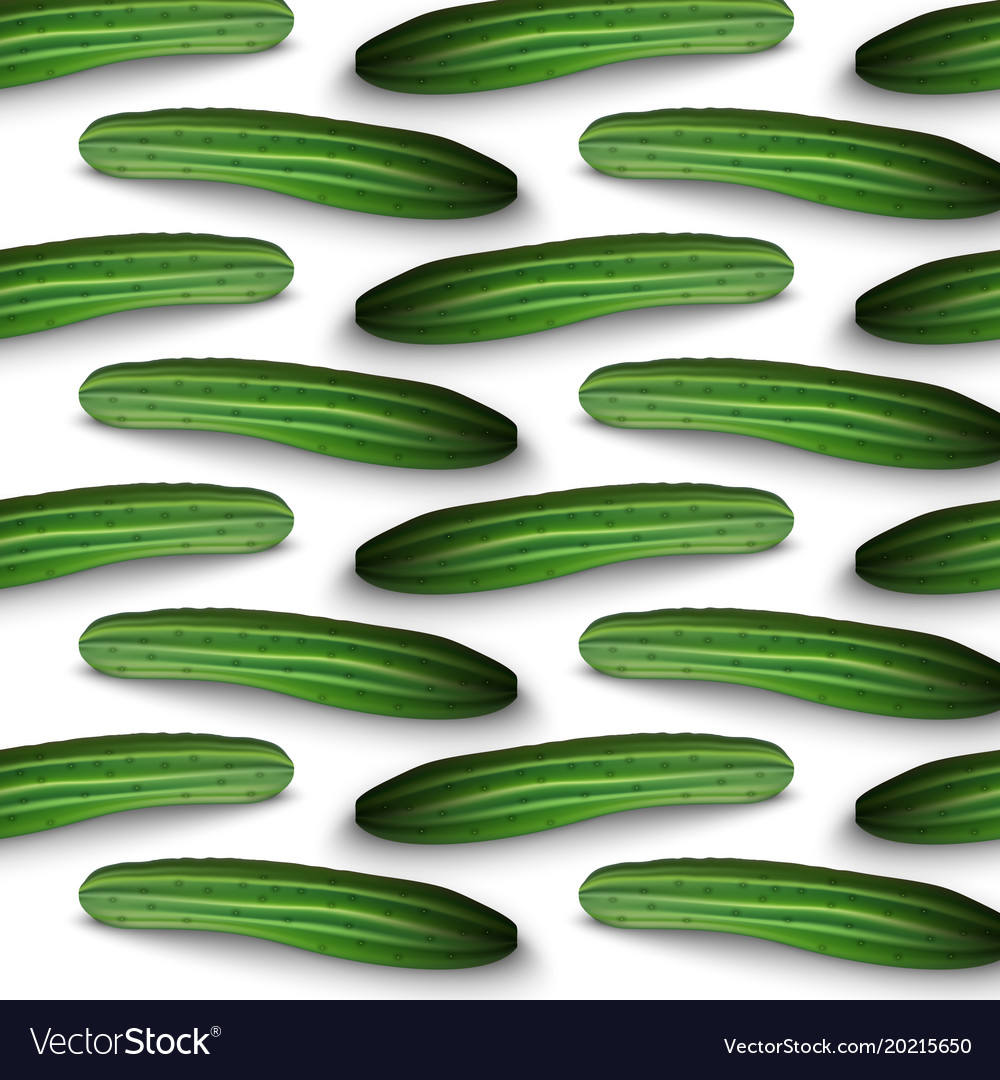 Cucumber isolated on white background