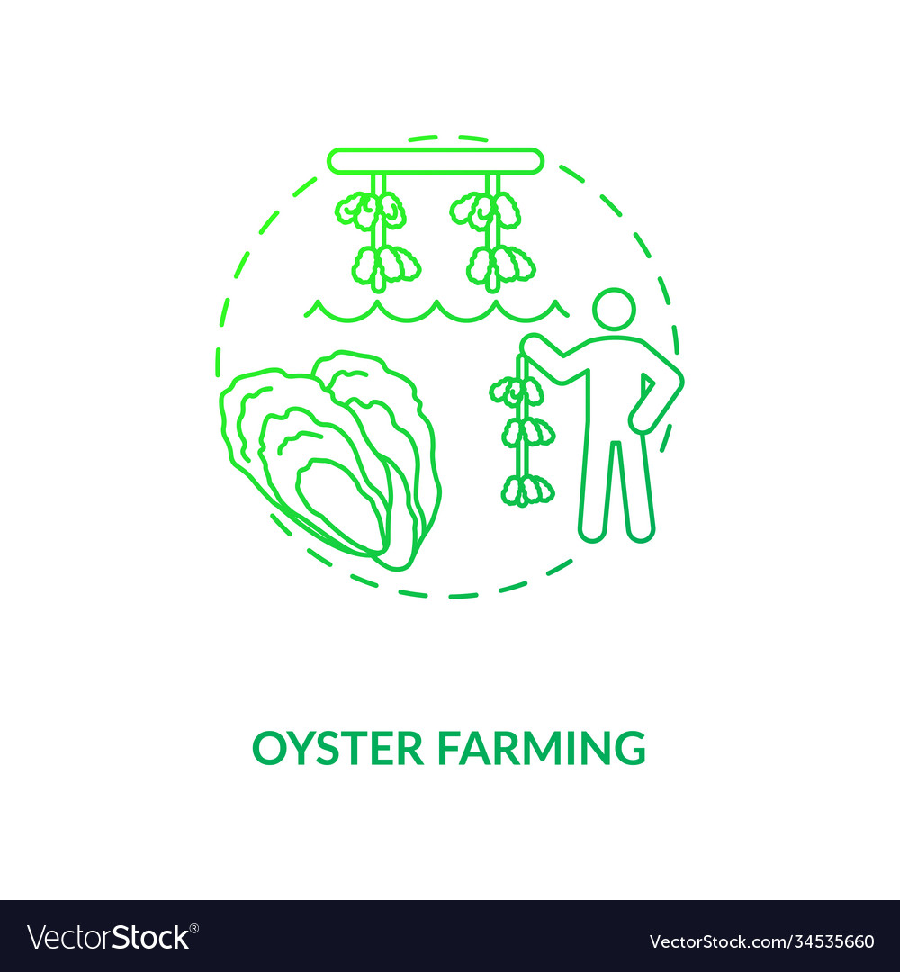 Oyster farming concept icon