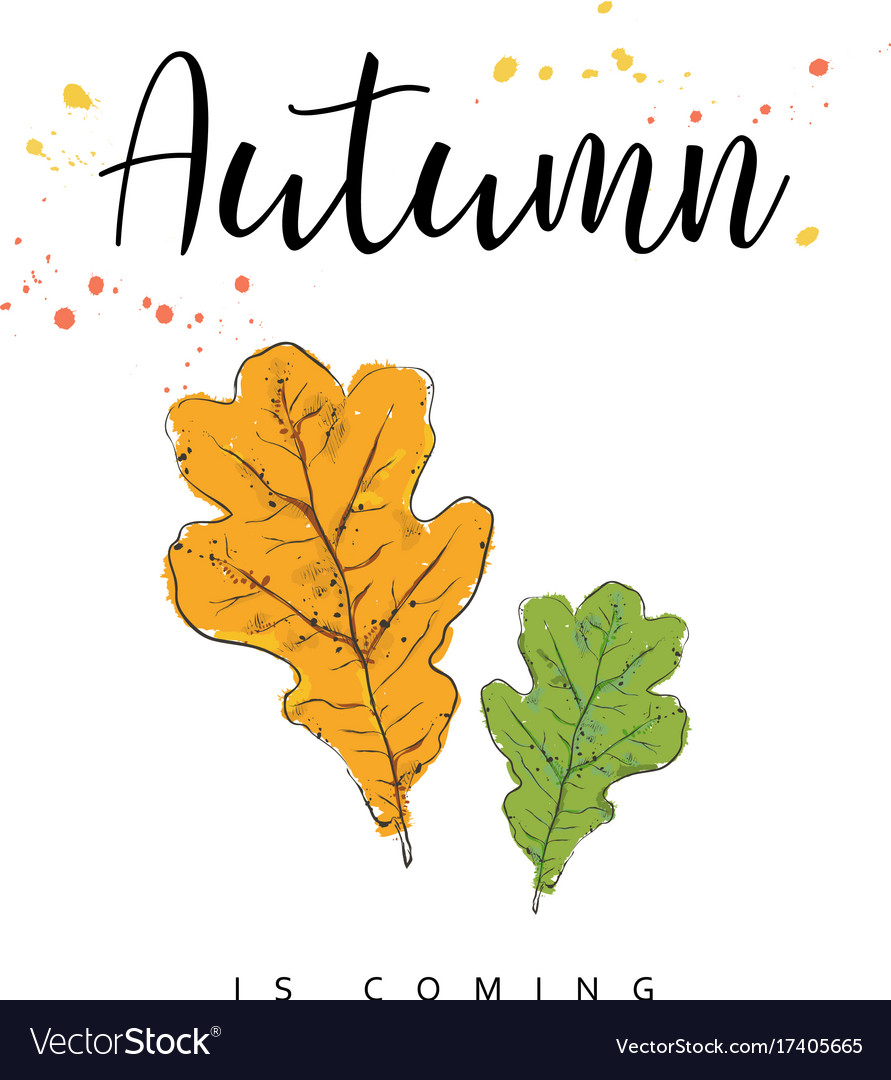 Autumn is coming leaves hand drawn