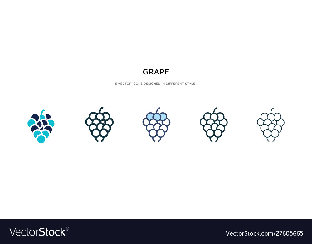 Grape icon in different style two colored