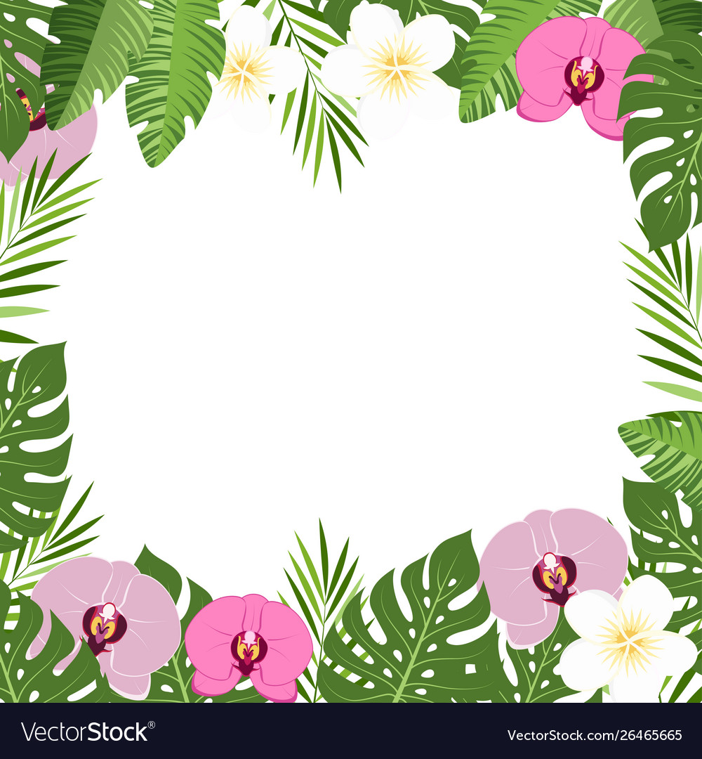 Tropical leaves and flowers orchid summer frame Vector Image