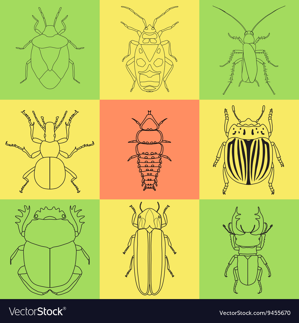 Insect icons set dor-beetle and firefly firebug