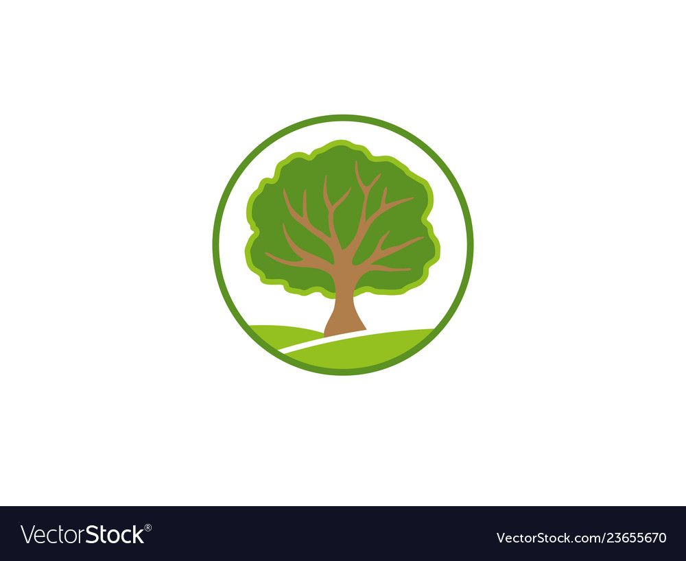 Blattbaum auf einem grünen Plateau Zweige Logo