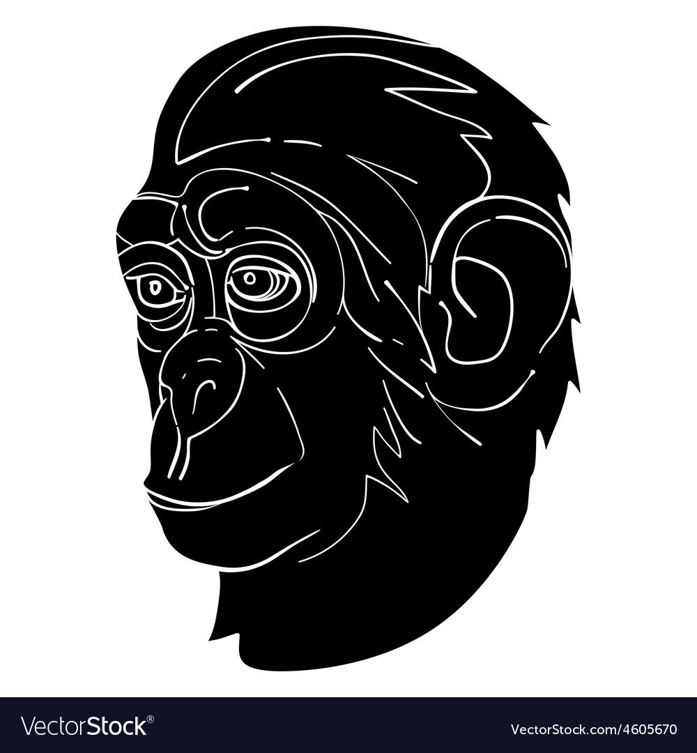 monkey statue avatar