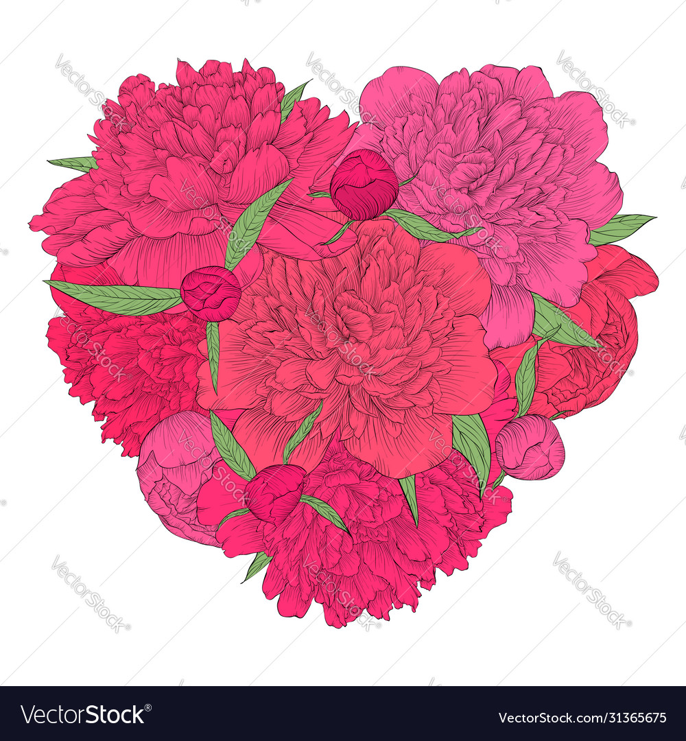 Schönes Herz dekoriert Blumen Pfingstrose vector image Schönes Herz dekoriert Blumen Pfingstrose
