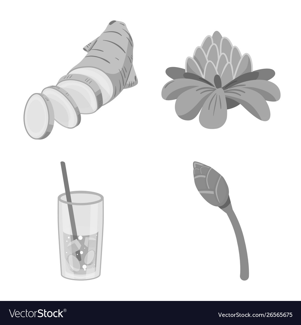 Isolated object spice and ingredient icon vector image Isolated object spice and ingredient icon