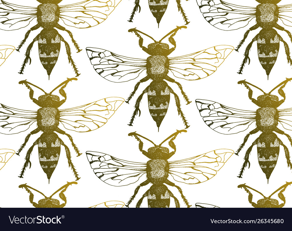 Seamless pattern with wasps