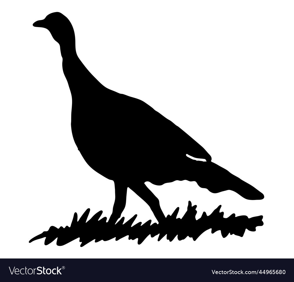 Turkey Silhouette Farm Animal