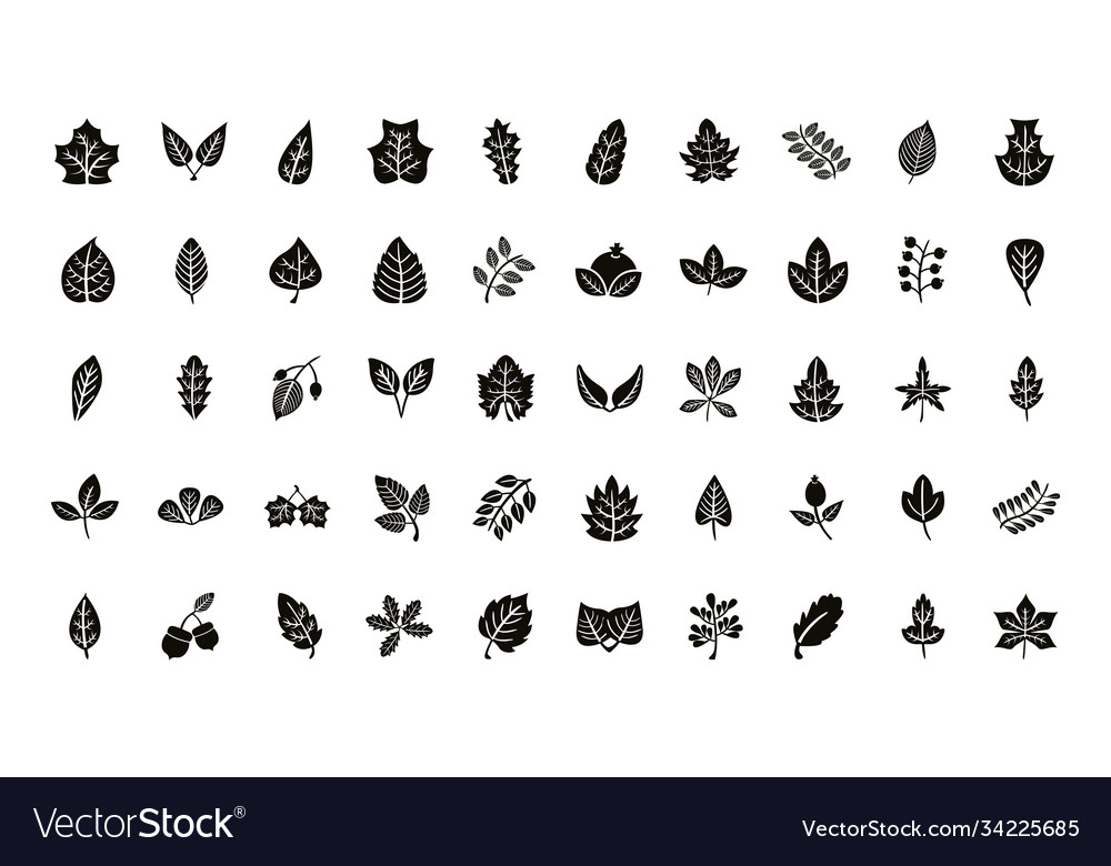 Bundle fifty autumn leaves silhouette style Vector Image