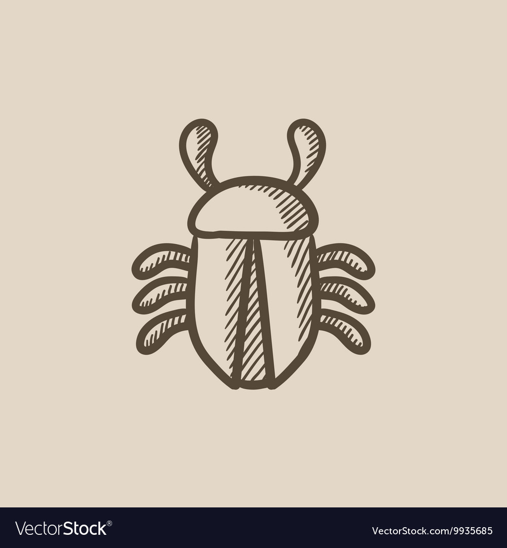 Computer bug sketch icon