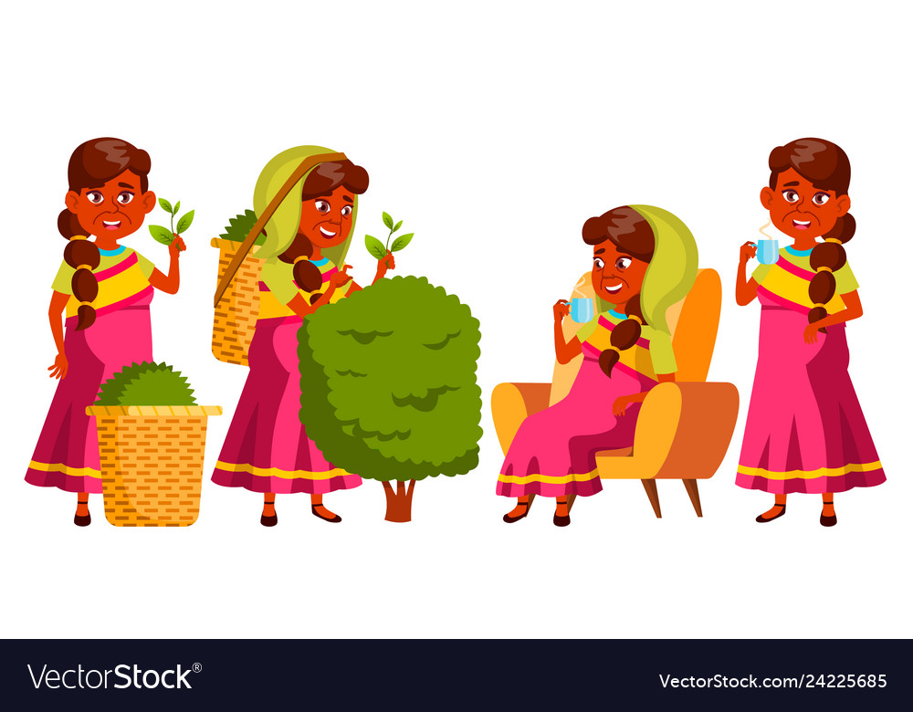Indian old woman poses set elderly people vector image Indian old woman poses set elderly people