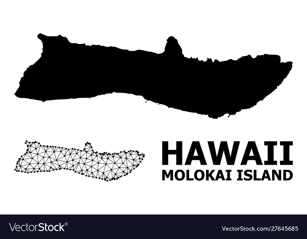 Solid and wire frame map molokai island vector image Solid and wire frame map molokai island