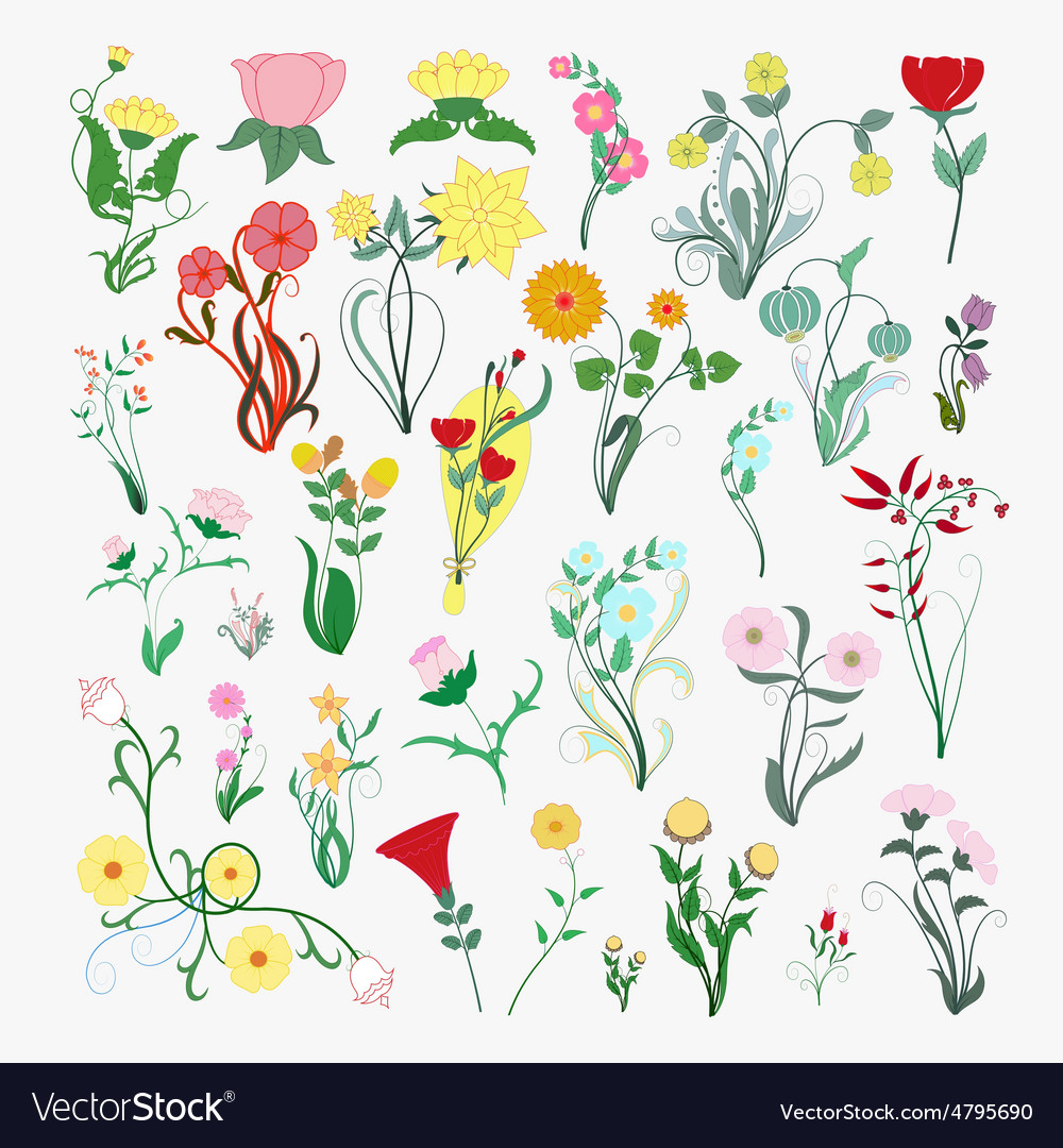 Floral Collection - Delicate Blossoms