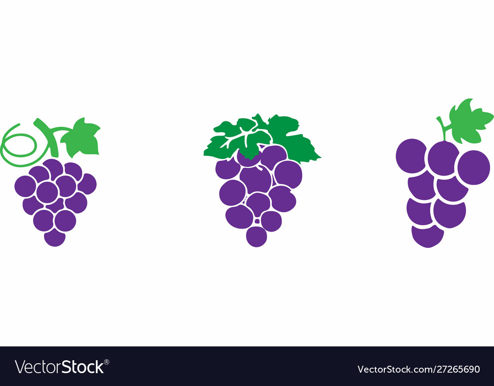 Grape icon on color background Vector Image Grape icon on color background