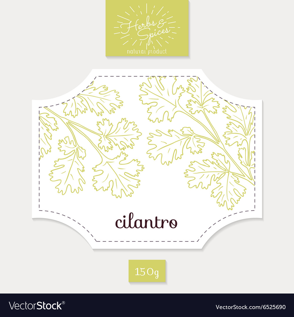 Product sticker with hand drawn cilantro