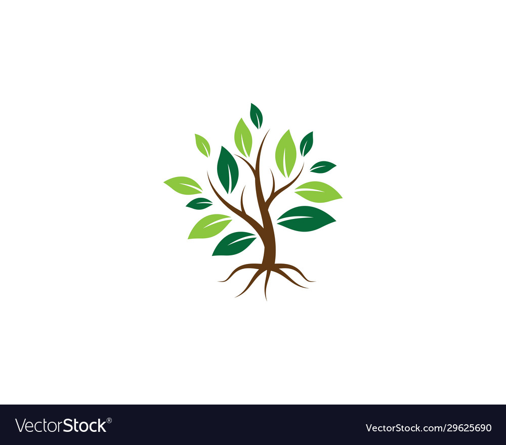Tree symbol icon Vector Image Tree symbol icon