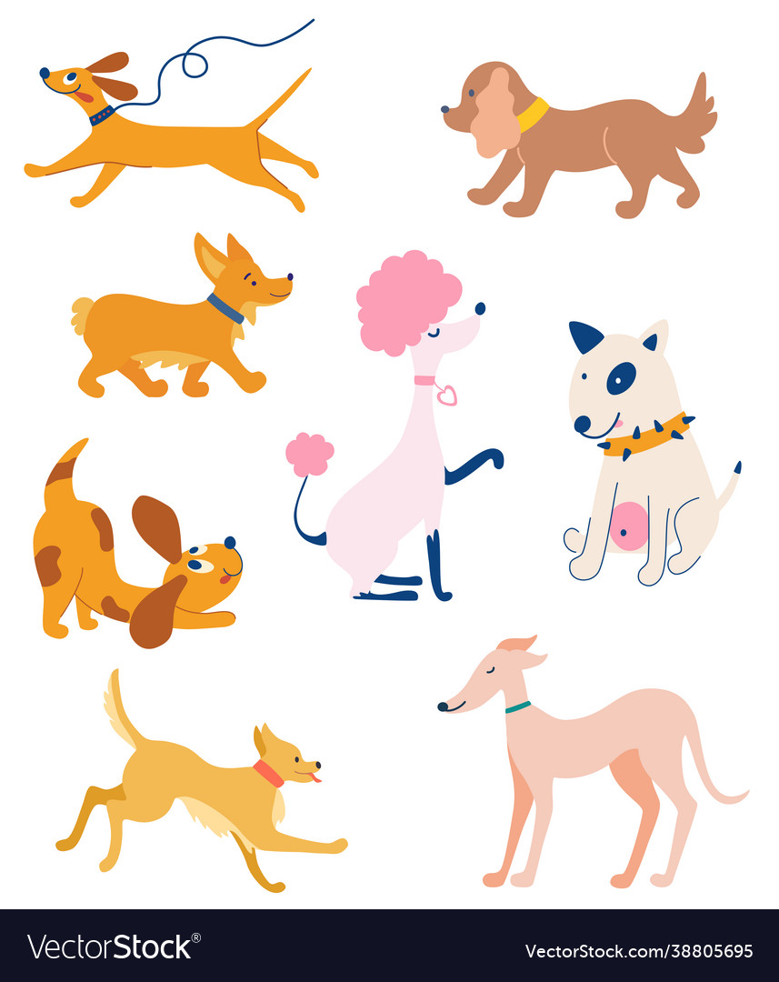 Set dogs different breeds funny animals Royalty Free Vector