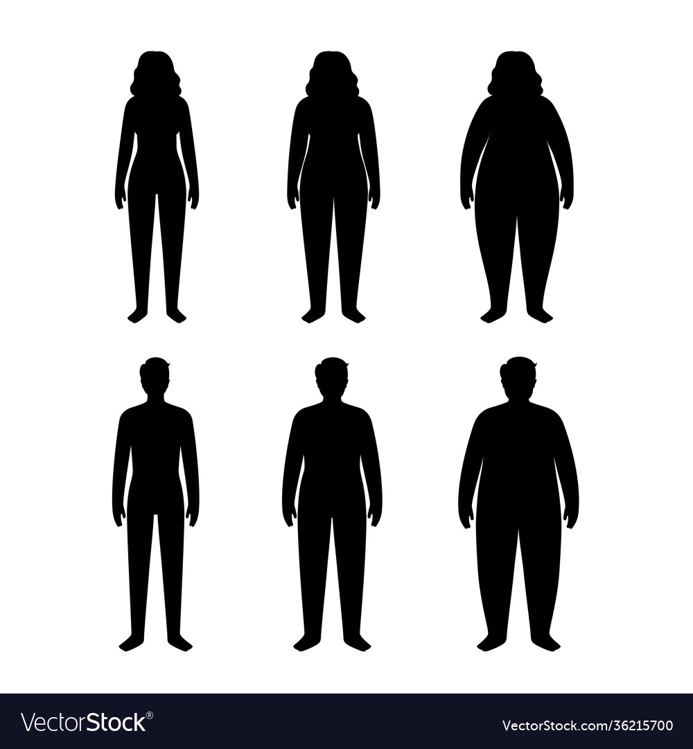 Body Mass Index Royalty Free Vector Image - VectorStock