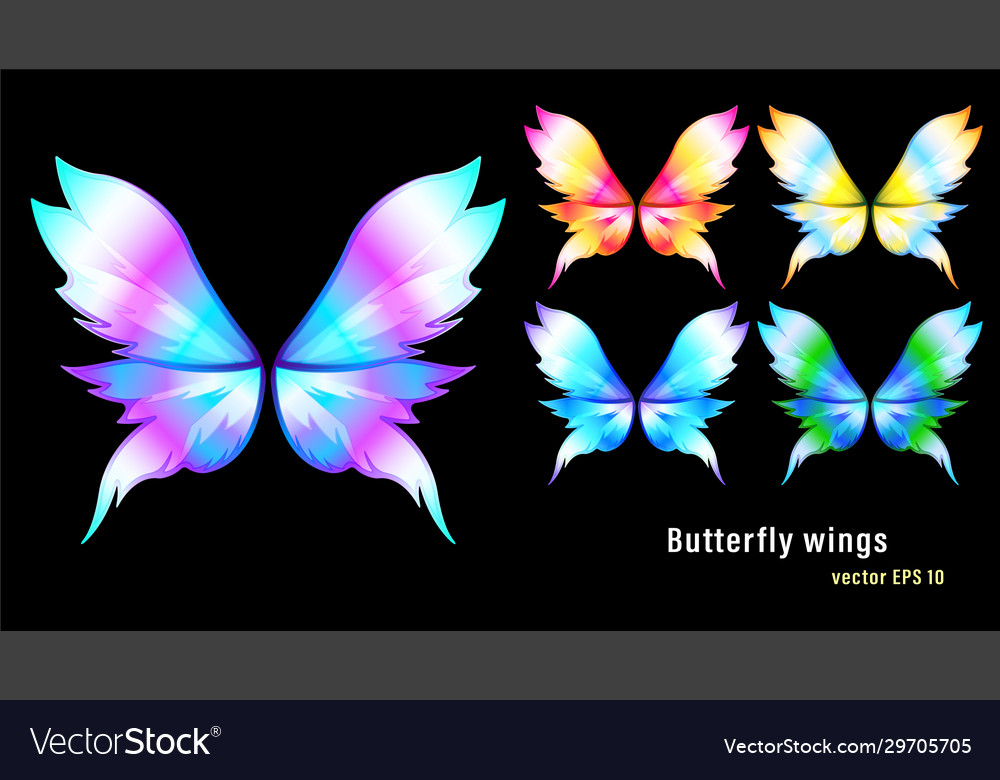Set different colorful flame gradient butterfly vector image Set different colorful flame gradient butterfly