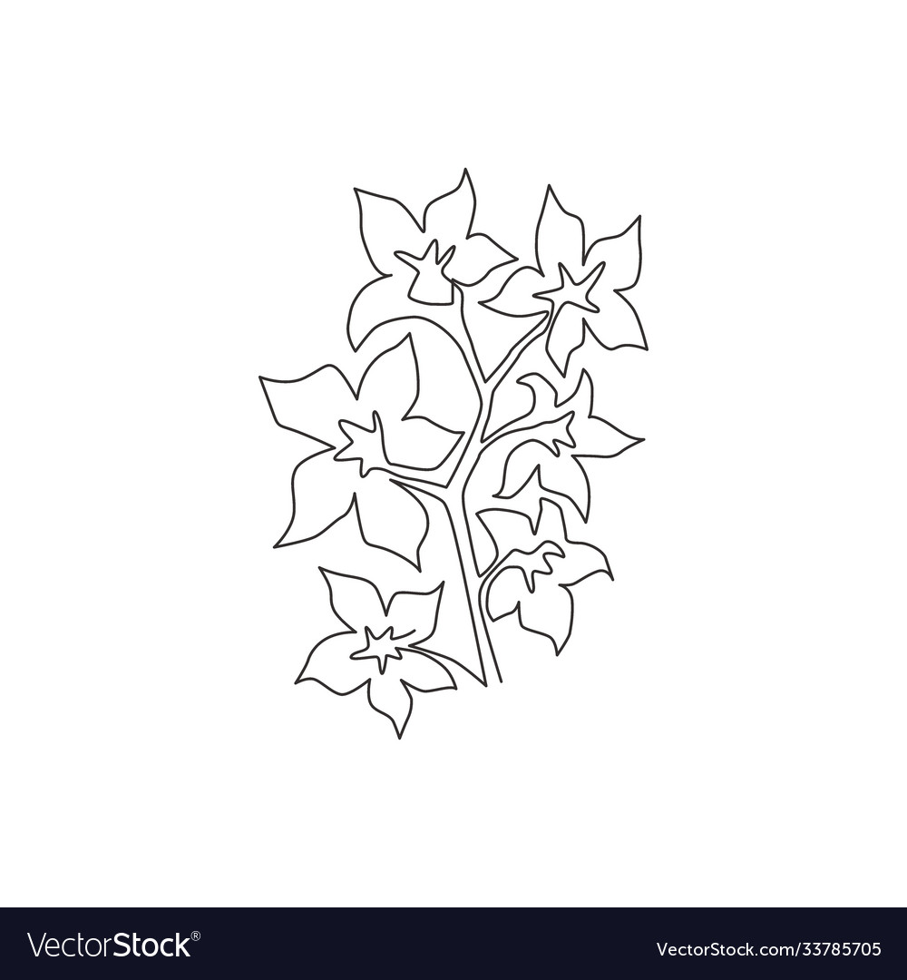 Single Continuous Line Drawing Beauty Fresh Vector Image